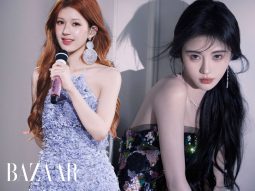 bzvn-cuc-tinh-y-siba-ent-tranh-chap-hop-dong-van-ban-thumb