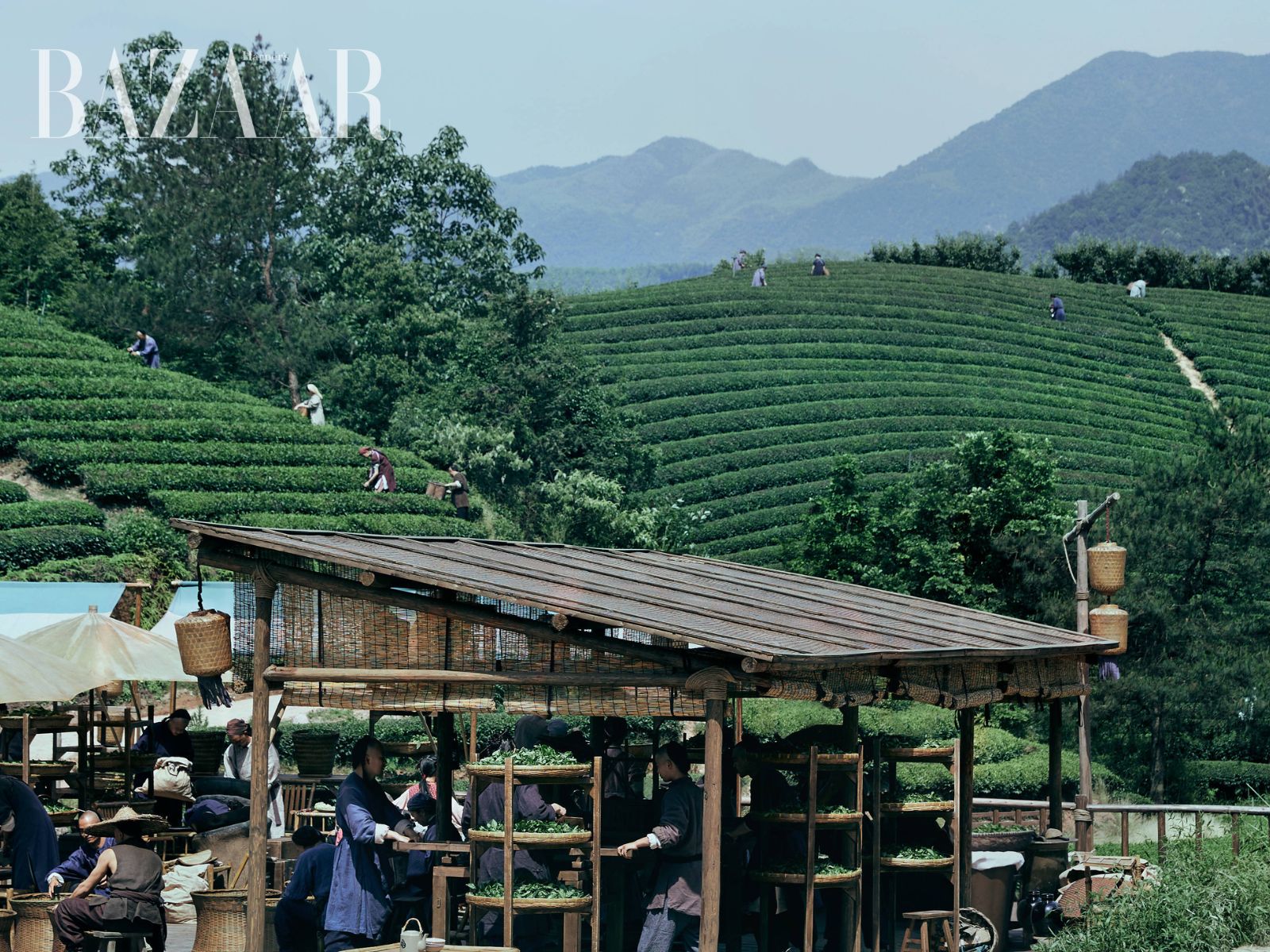 bzvn-dai-sinh-y-nhan-tran-hieu--muon-tra-dam-dao-kinh-doanh-10