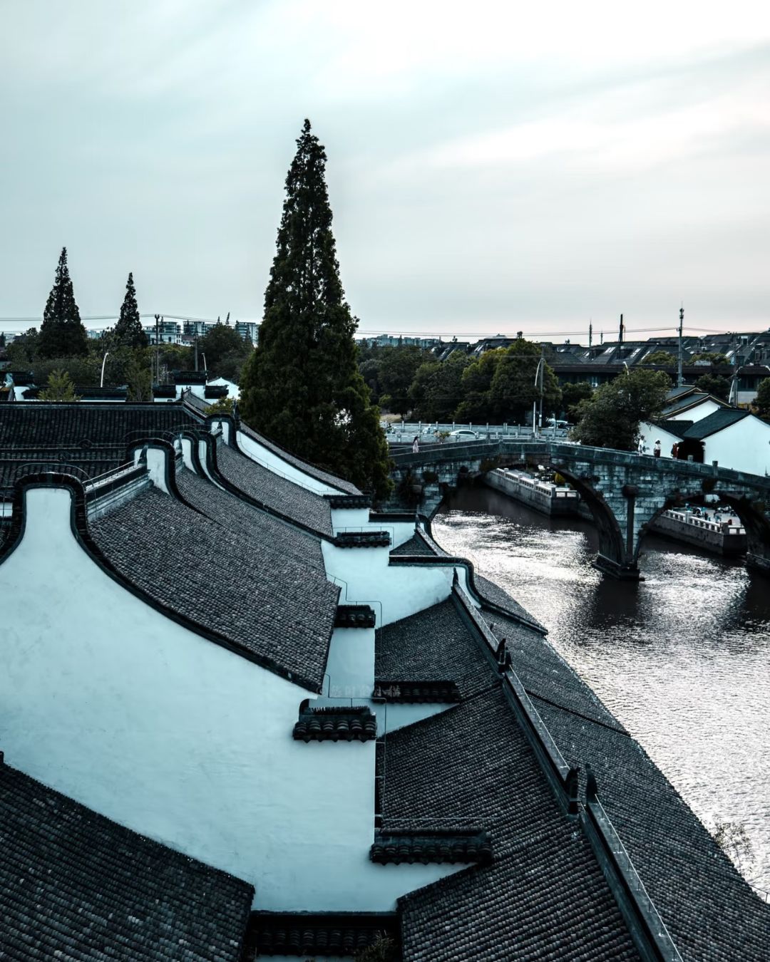 bzvn-du-lich-thuong-hai-qua-phim-toi-nhu-anh-duong-ruc-ro-19