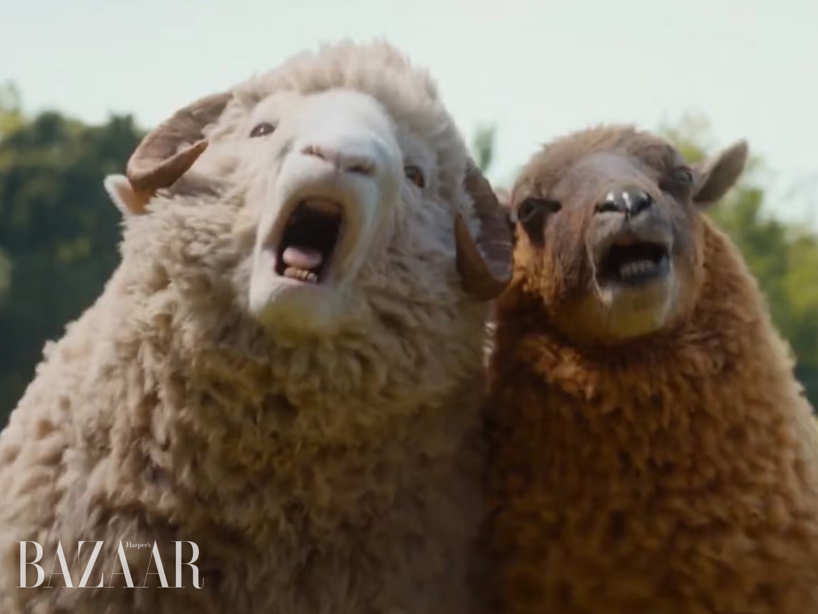 bzvn-phim-doi-tham-tu-cuu-an-mang-luc-nua-dem-2026 (2)