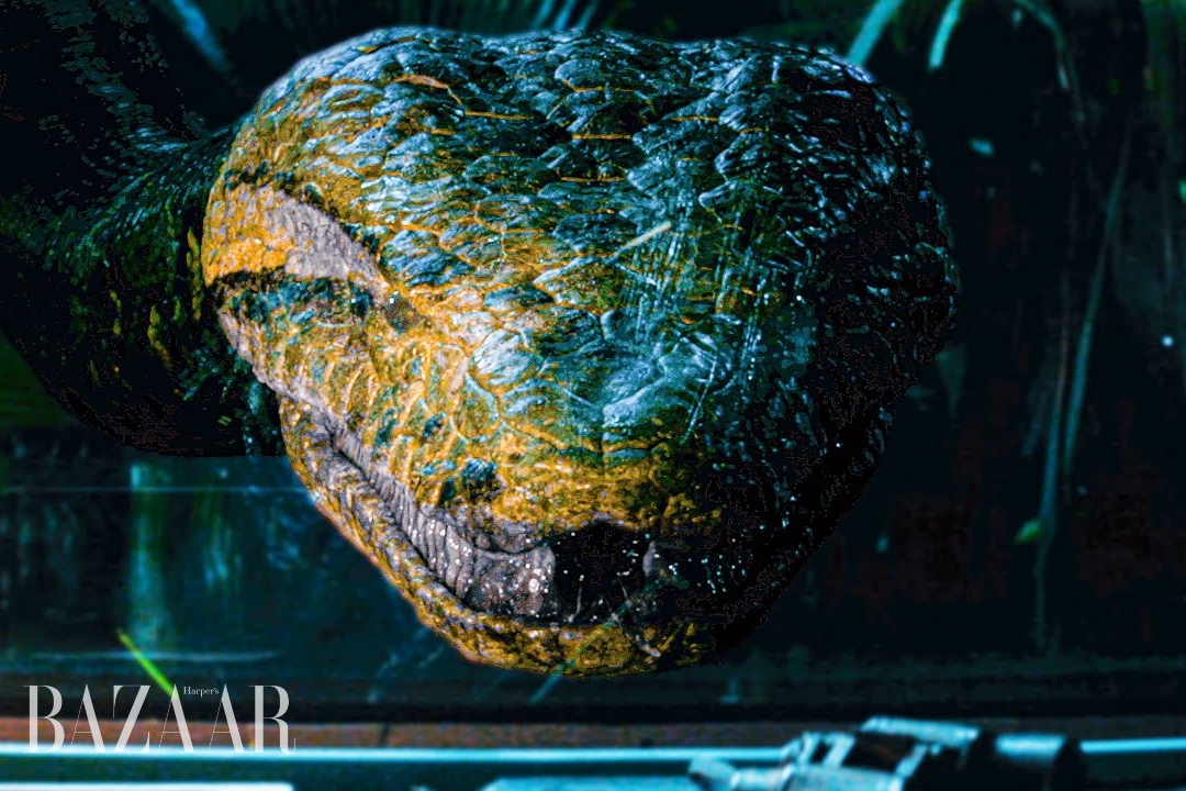 bzvn-review-anaconda-2025-paul-rudd-jack-black-phim-chieu-rap (2)