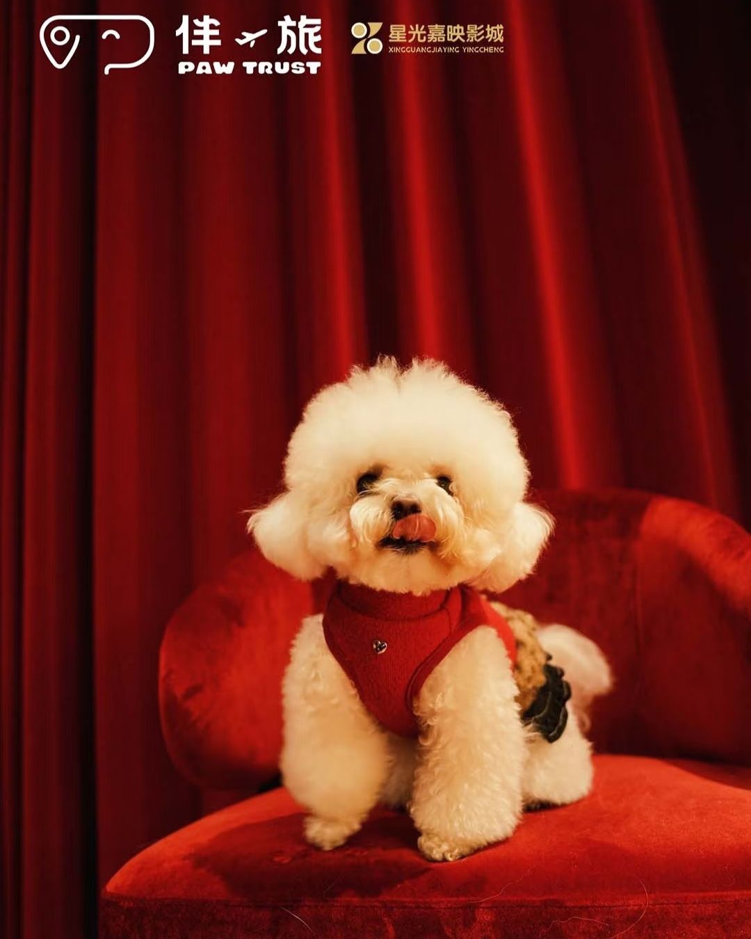 bzvn-zootopia-2-rap-chiue-phim-cung-thu-cung-trung-quoc-1