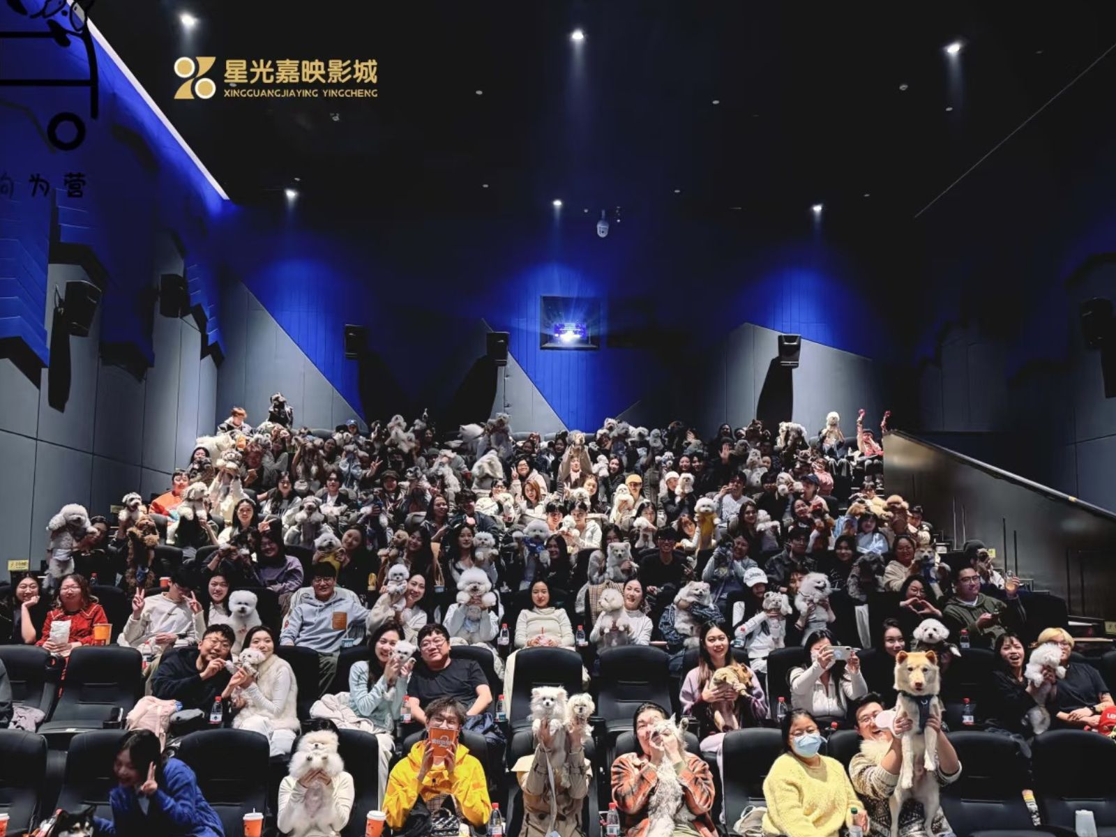 bzvn-zootopia-2-rap-chiue-phim-cung-thu-cung-trung-quoc-10