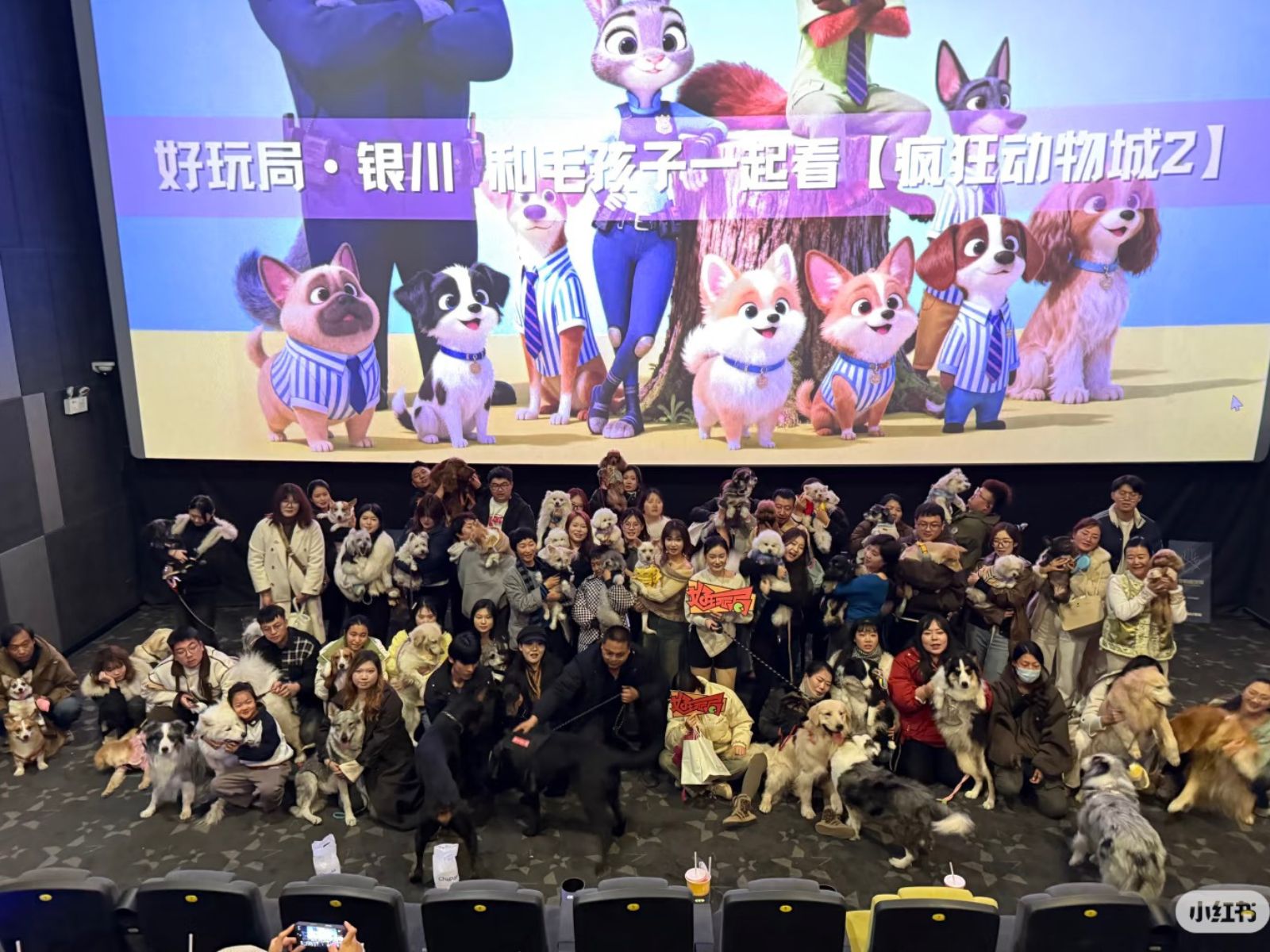 bzvn-zootopia-2-rap-chiue-phim-cung-thu-cung-trung-quoc-11