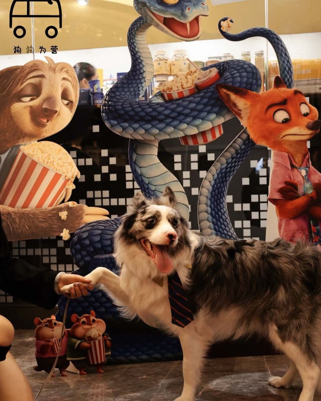 bzvn-zootopia-2-rap-chiue-phim-cung-thu-cung-trung-quoc-4