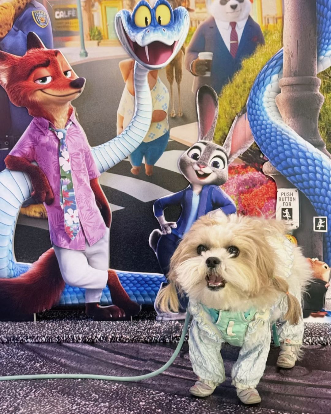 bzvn-zootopia-2-rap-chiue-phim-cung-thu-cung-trung-quoc-8