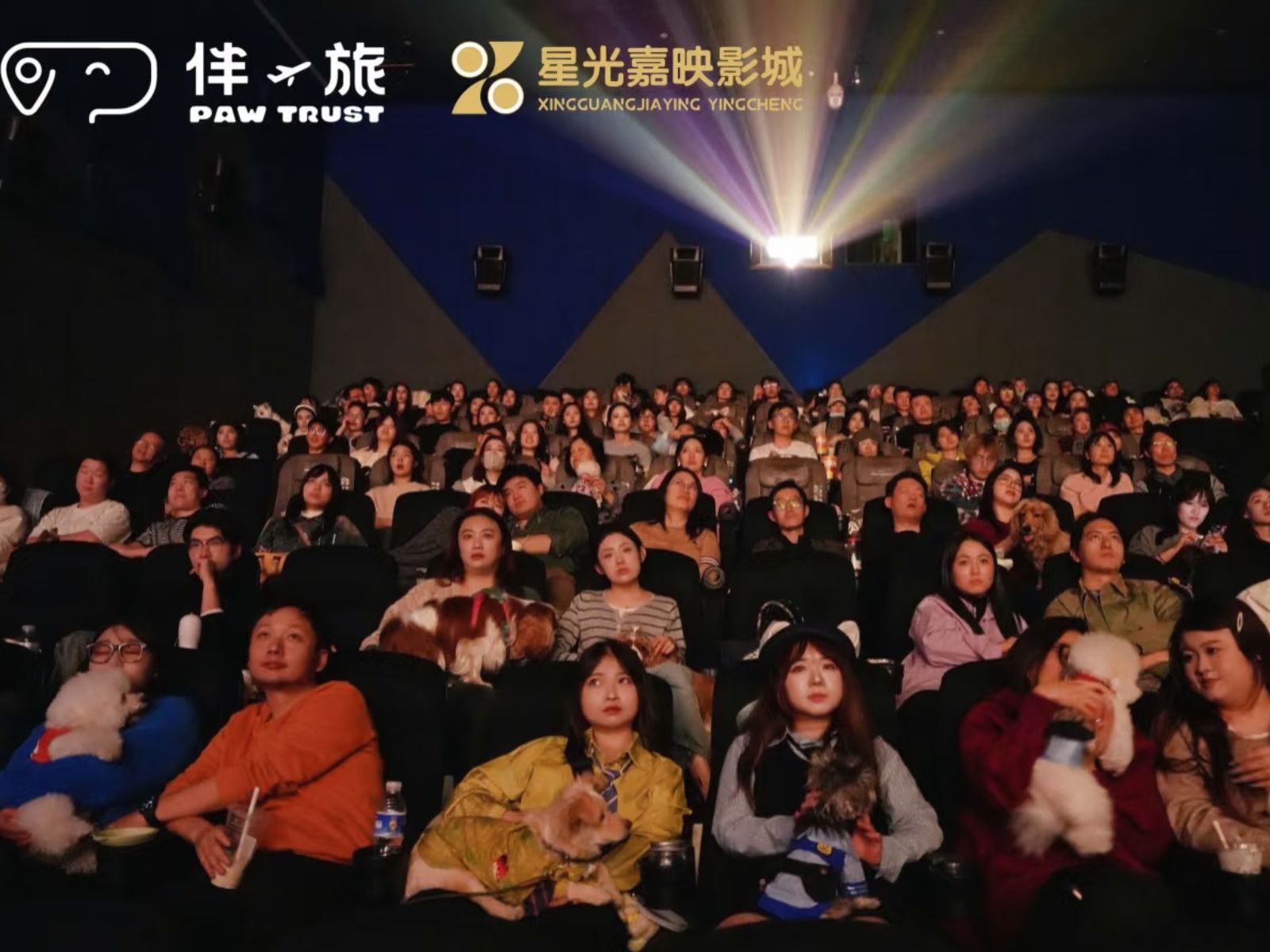 bzvn-zootopia-2-rap-chiue-phim-cung-thu-cung-trung-quoc-9