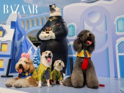 bzvn-zootopia-2-rap-chiue-phim-cung-thu-cung-trung-quoc-thumb