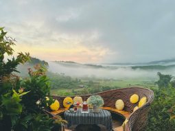 Giá vé khu du lịch Thúy Thuận