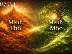 Mệnh Thổ và mệnh Mộc có hợp nhau không?