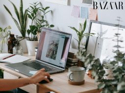 Cây thu hút tài lộc