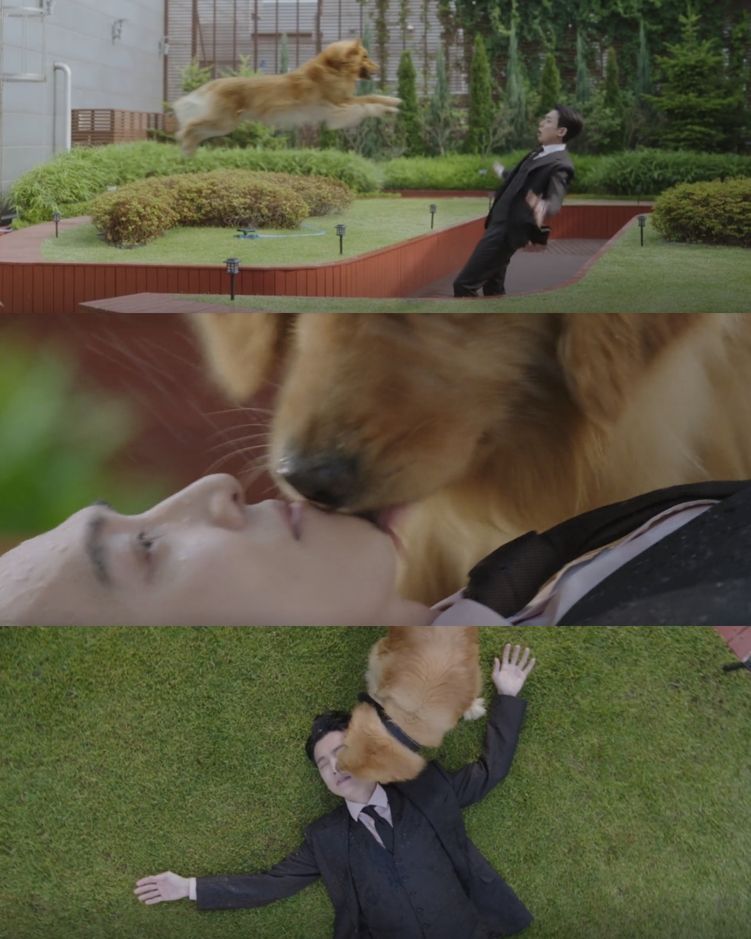 pro bono luật sư công ích