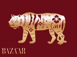 Tử vi tuổi Dần năm Bính Ngọ 2026