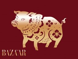 Tử vi tuổi Hợi năm Bính Ngọ 2026