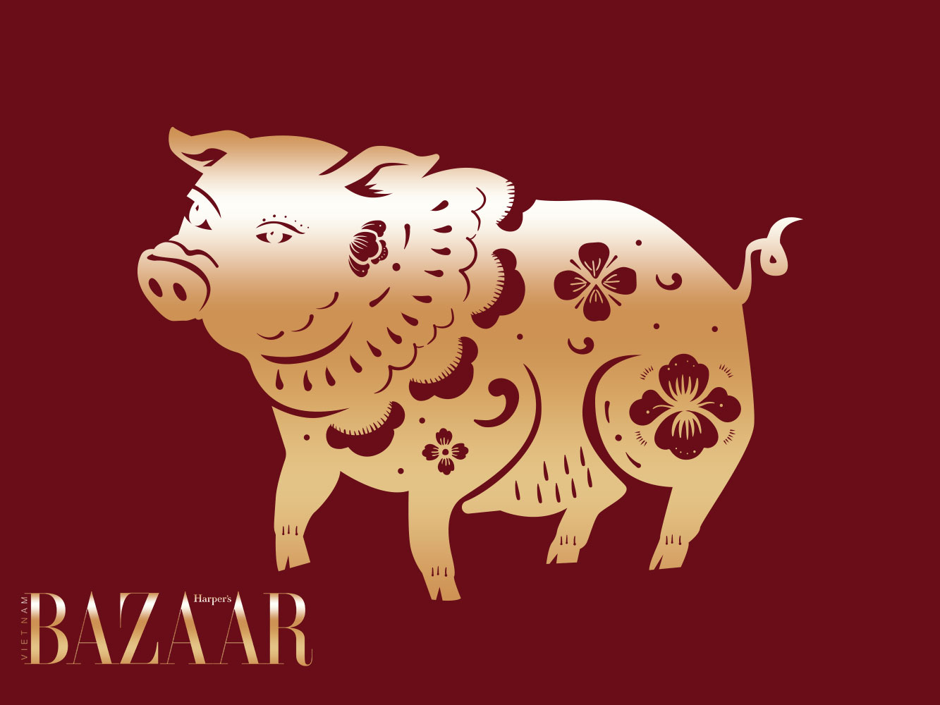 Tử vi tuổi Hợi năm Bính Ngọ 2026