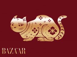 Tử vi tuổi Mẹo năm Bính Ngọ 2026