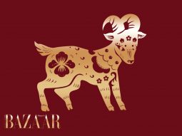 Tử vi tuổi Mùi năm Bính Ngọ 2026