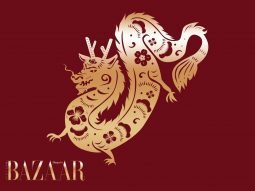 Tử vi tuổi Thìn năm Bính Ngọ 2026