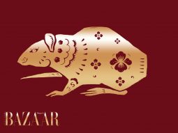 Tử vi tuổi Tí năm Bính Ngọ 2026