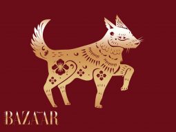 Tử vi tuổi Tuất năm Bính Ngọ 2026