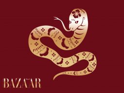 Tử vi tuổi Tỵ năm Bính Ngọ 2026