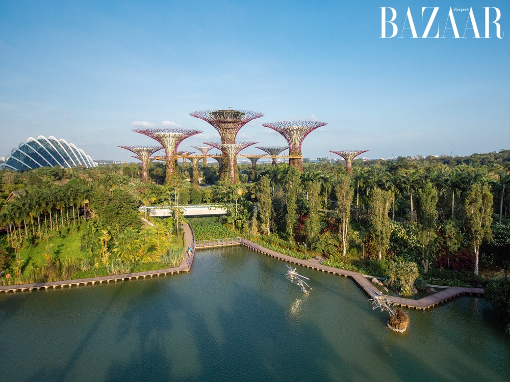 Tour đi bộ tham quan hệ sinh thái đô thị Singapore