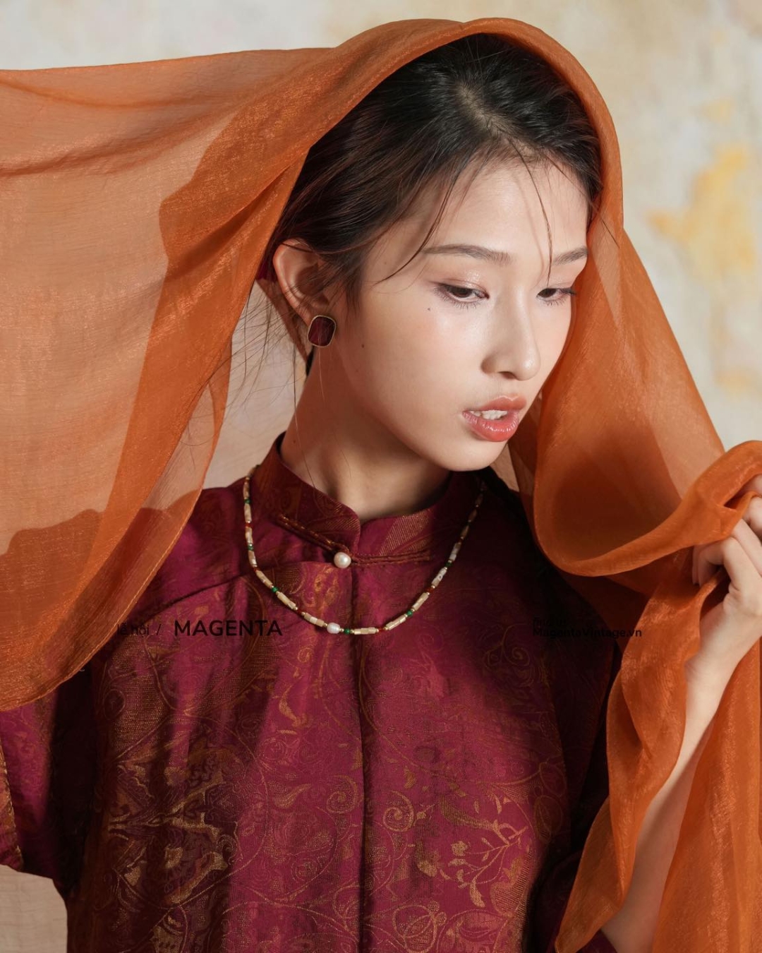 bzvn-ao-dai-khuy-noi-tet-2026-xu-huong (4)