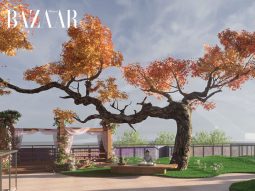 bzvn-iqiyi-mo-cong-vien-chieu-long-khan-gia-me-phim-thumbnail