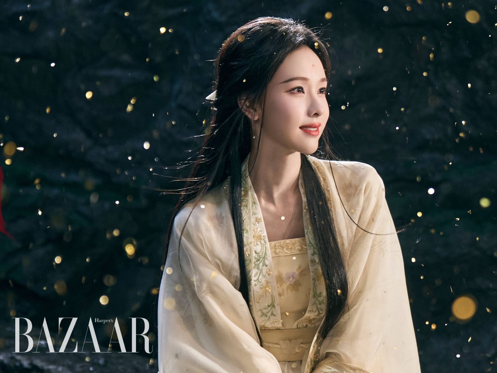 bzvn-tran-do-linh-nguyet-lan-y-ky-poster