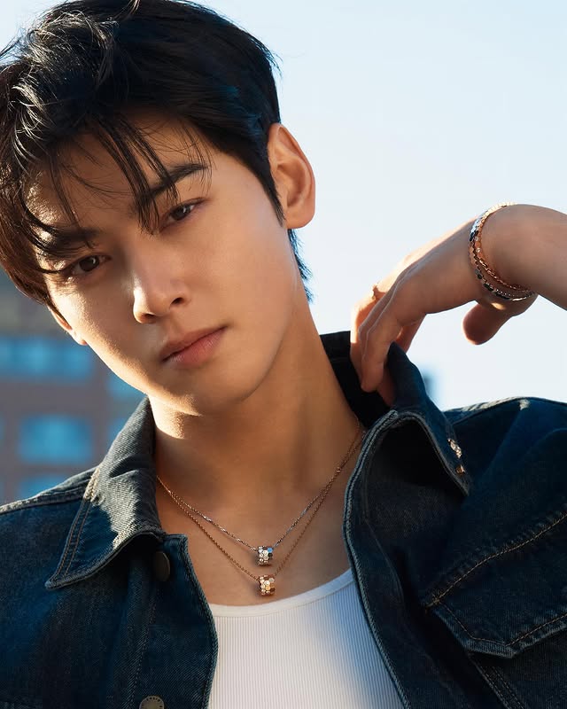 cha eun woo thuế cáo buộc