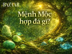 Mệnh Mộc hợp đá gì? Cách chọn đá đúng cho người mới bắt đầu