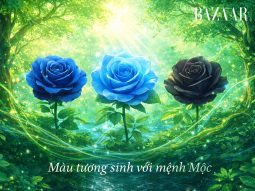 Mệnh Mộc hợp màu nào?