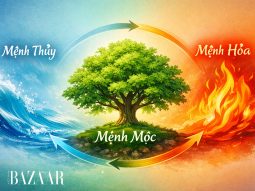 Mệnh Mộc hợp mệnh gì và kỵ mệnh gì? Xem ngay để tránh xung khắc