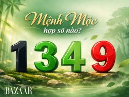 Mệnh Mộc hợp số nào? Cách chọn số chuẩn phong thủy năm 2026