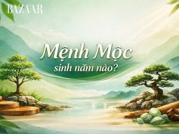 Mệnh Mộc sinh năm nào? 6 nạp âm Mộc & phong thủy 2026