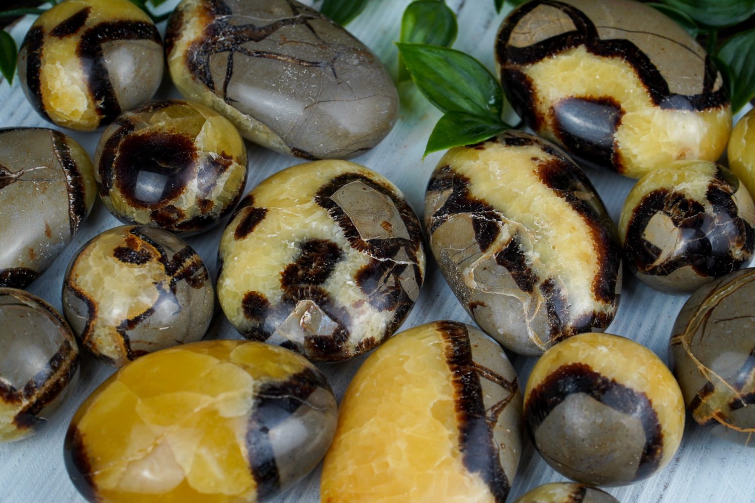 Trứng rồng đá (Septarian)