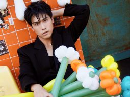 Top 9 bộ phim ghi dấu ấn của "tắc kè hoa" Võ Điền Gia Huy