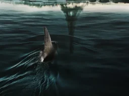 Phim kinh dị tâm lý Pháp: Phía dưới sông Seine – Under Paris (2024)