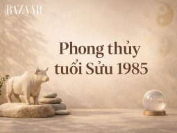 Phong thủy tuổi Sửu 1985: Mệnh số, màu sắc, hướng nhà và vật phẩm hợp mệnh