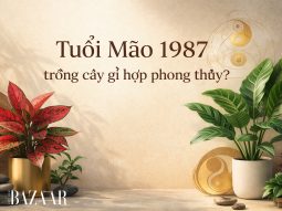 Tuổi Mão 1987 trồng cây gì hợp phong thủy