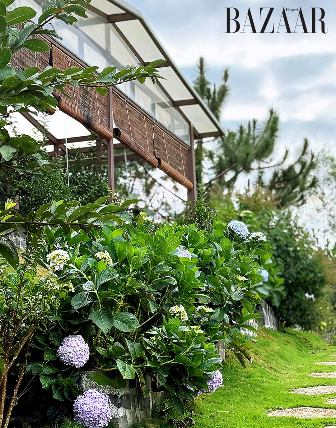 Anne’s Garden: Khu vườn hoa hồng trăm cây cận kề Bảo Lộc插图9