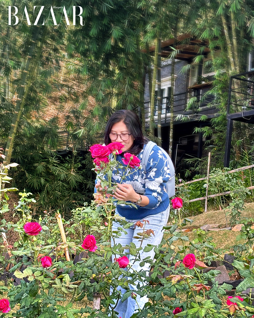 Anne’s Garden: Khu vườn hoa hồng trăm cây cận kề Bảo Lộc插图