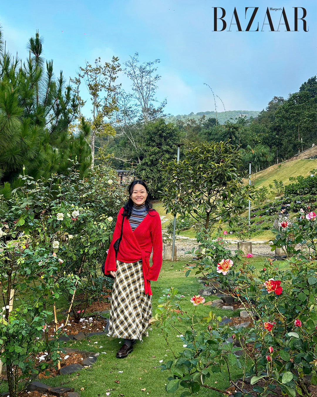 Anne’s Garden: Khu vườn hoa hồng trăm cây cận kề Bảo Lộc插图1