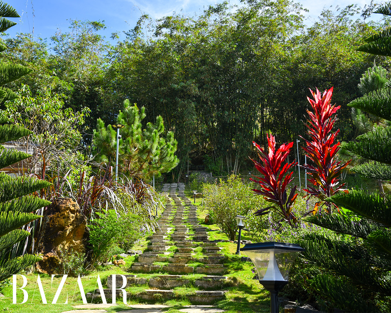 Anne’s Garden: Khu vườn hoa hồng trăm cây cận kề Bảo Lộc插图5