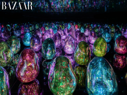 Bảo tàng nghệ thuật teamLab tại Nhật Bản