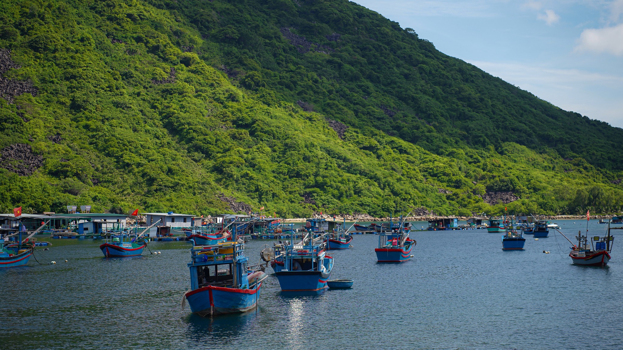 Báu Vật Trời Cho