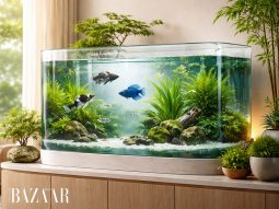 Nuôi cá phong thủy mệnh Mộc: Màu, số lượng, loại cá hút tài lộc