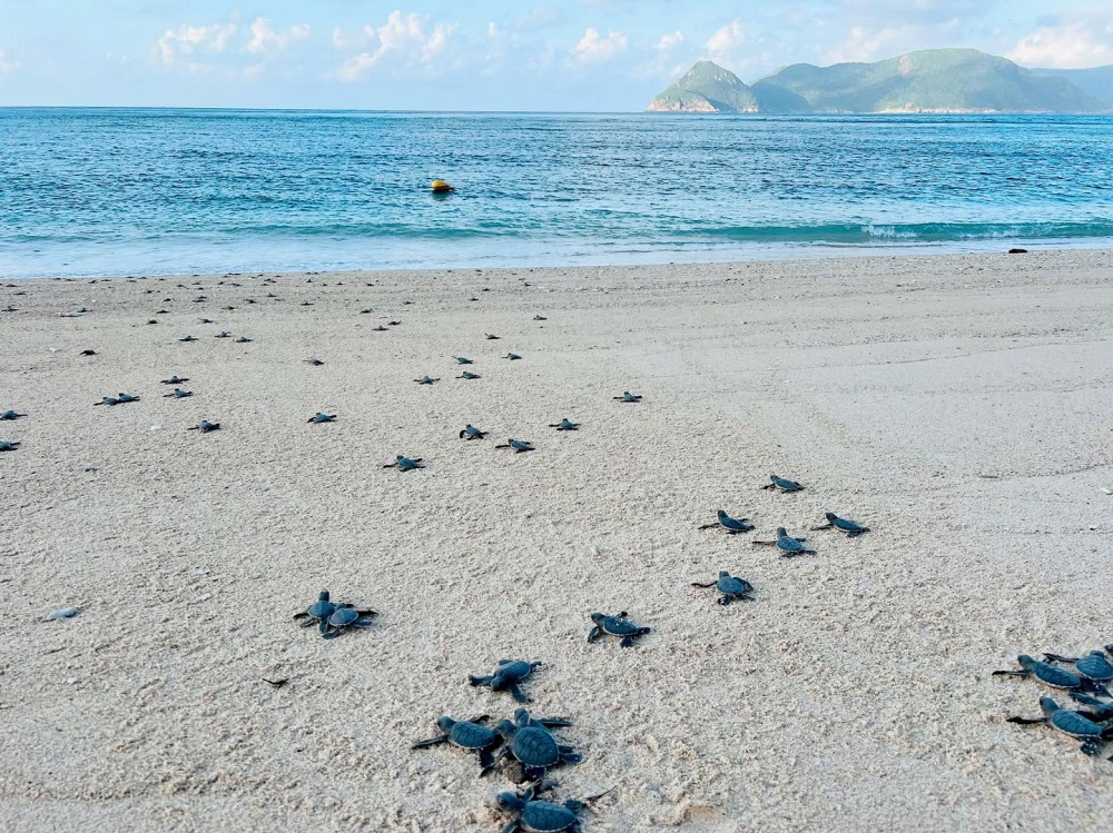 Du lịch Côn Đảo