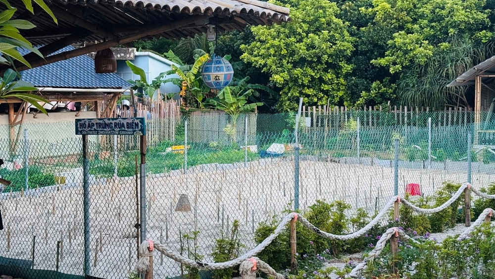 Du lịch Côn Đảo