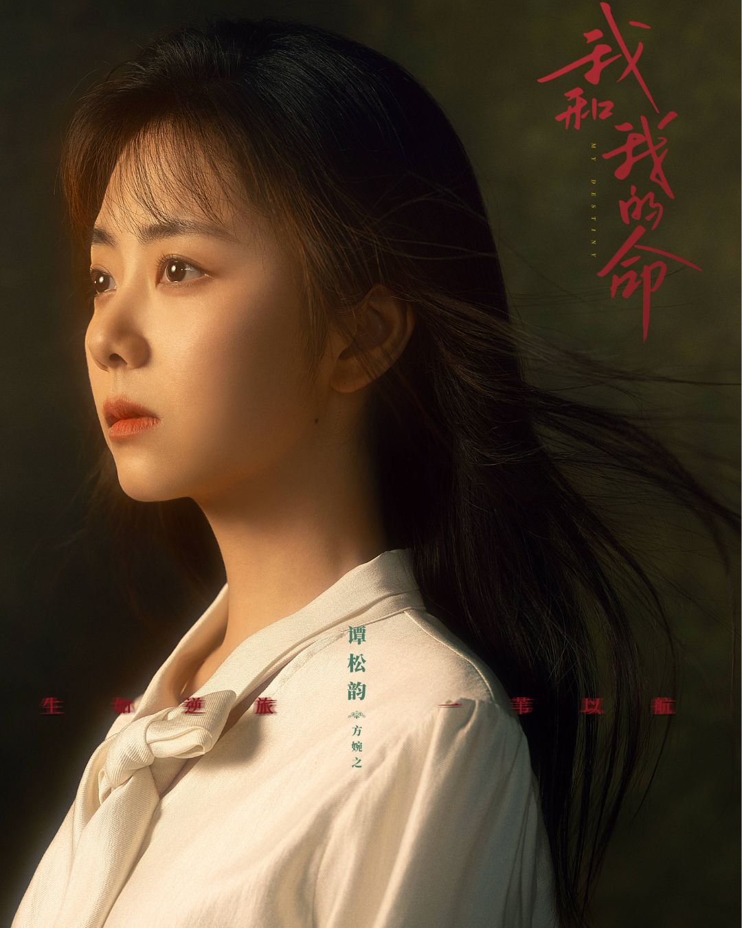 bzvn-dam-tung-van-khoi-sac-o-dia-hat-phim-nien-dai-voi-nui-va-bien-cua-toi-8